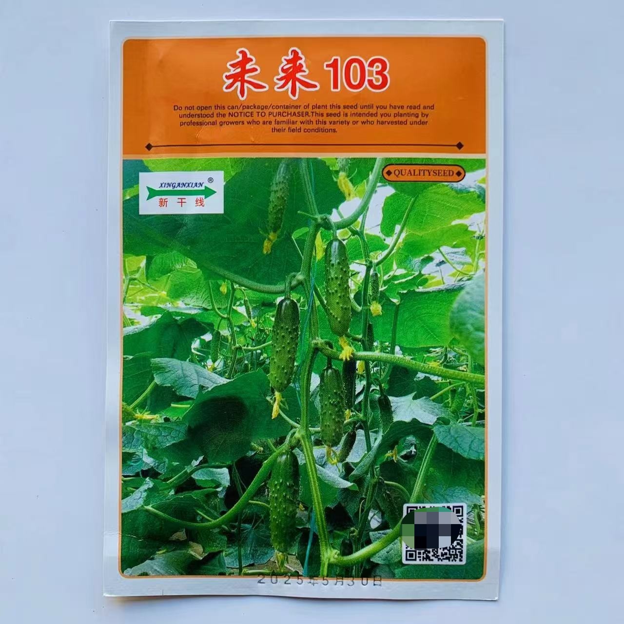 旱黄瓜种子水果黄瓜种籽油亮大刺翠绿高产节节瓜四季蔬菜未来103
