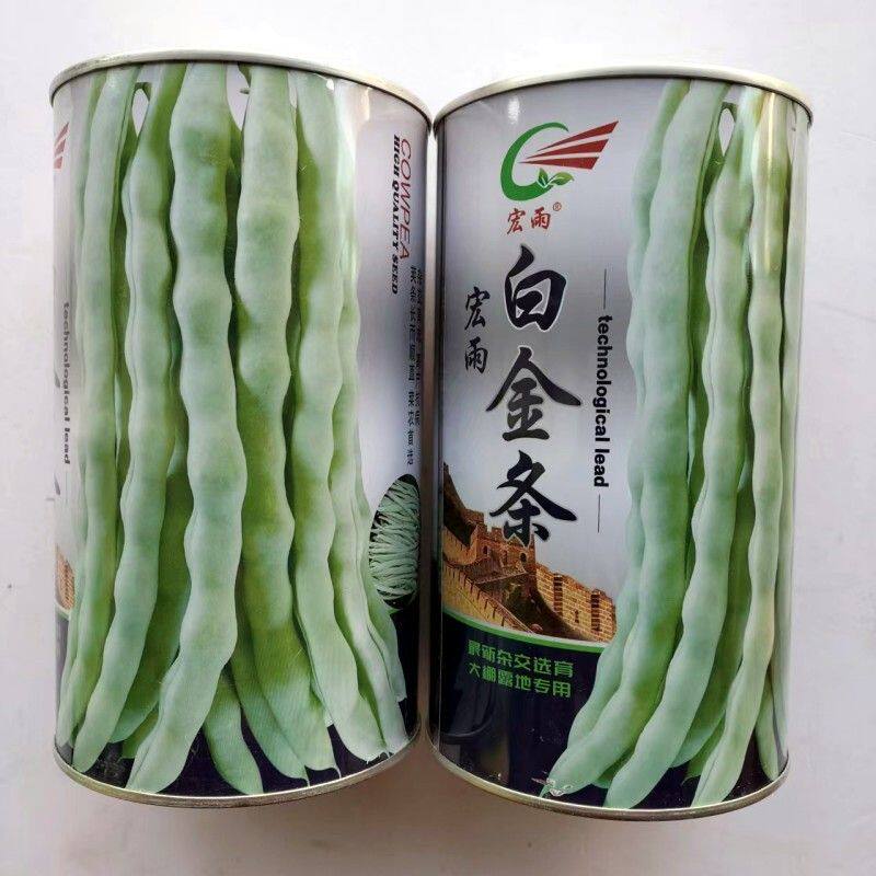 宏雨白金条架豆种子高产四季豆种籽豆荚绿白色圆扁形芸豆种子籽种