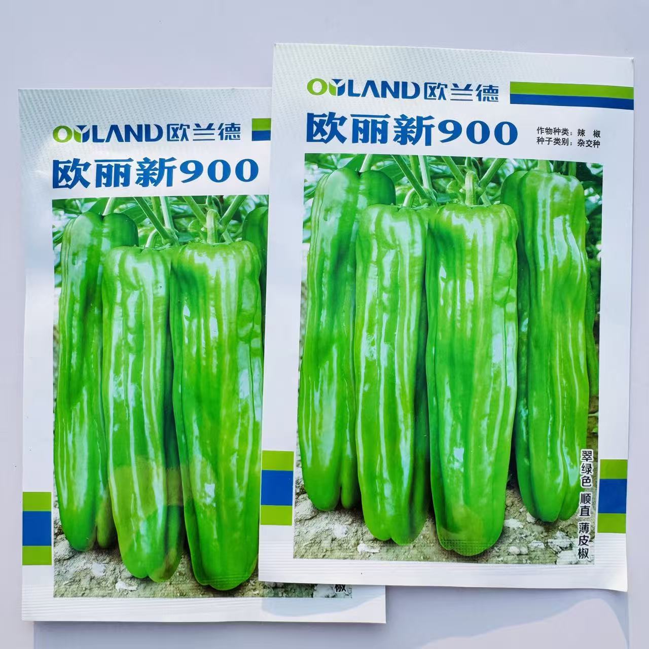 欧兰德欧丽新900大果薄皮辣椒种籽高产抗病春秋播长灯笼泡椒种籽