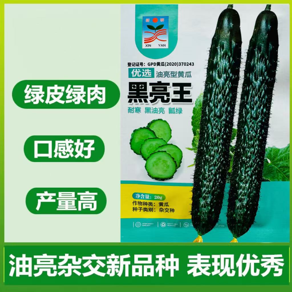 黑亮王黄瓜种子黑油亮把短密刺青脆甜耐寒黄瓜种籽青皮青肉青瓜孑