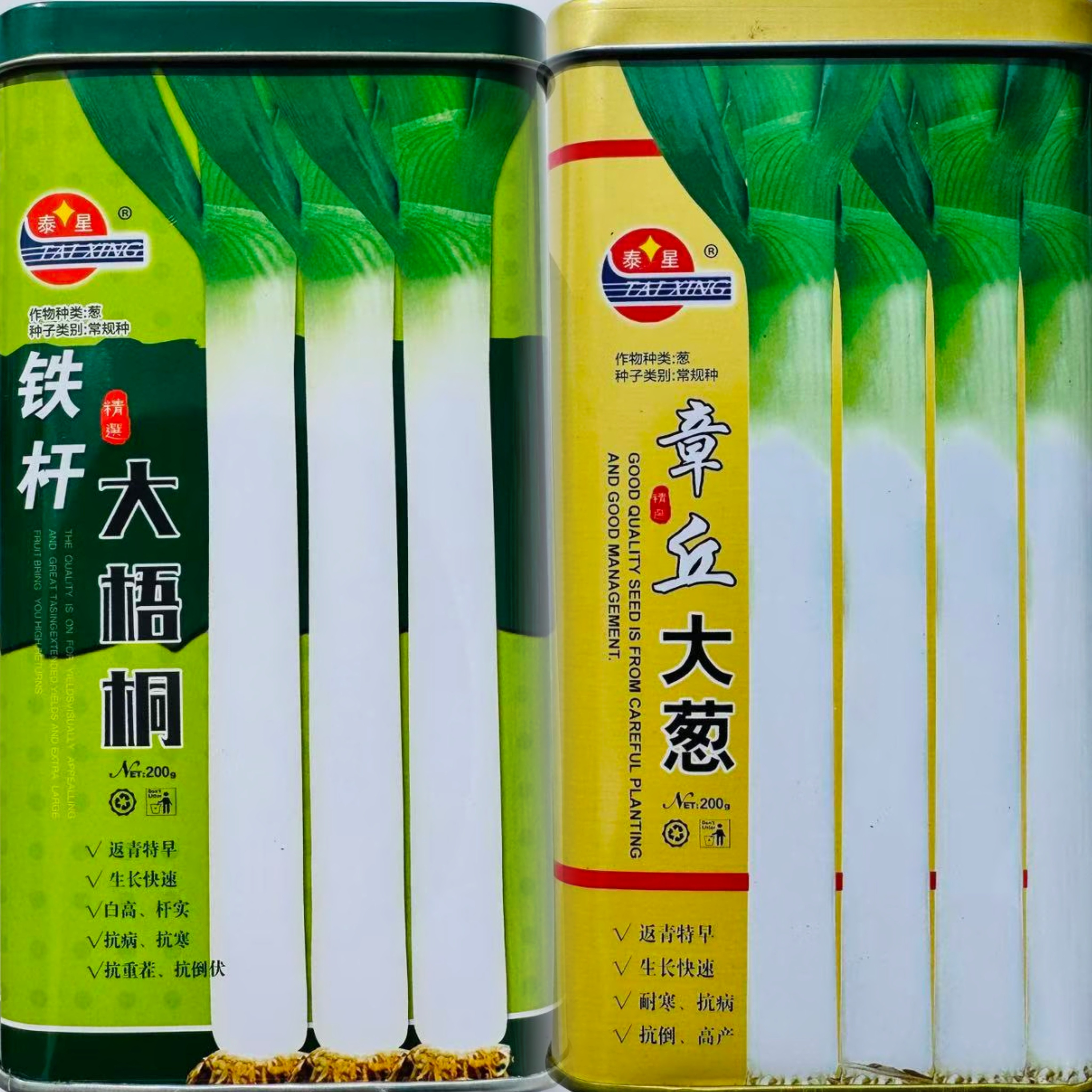 山东大葱种子基地专用章丘大葱铁杆大梧桐葱种籽优质长白大葱种子