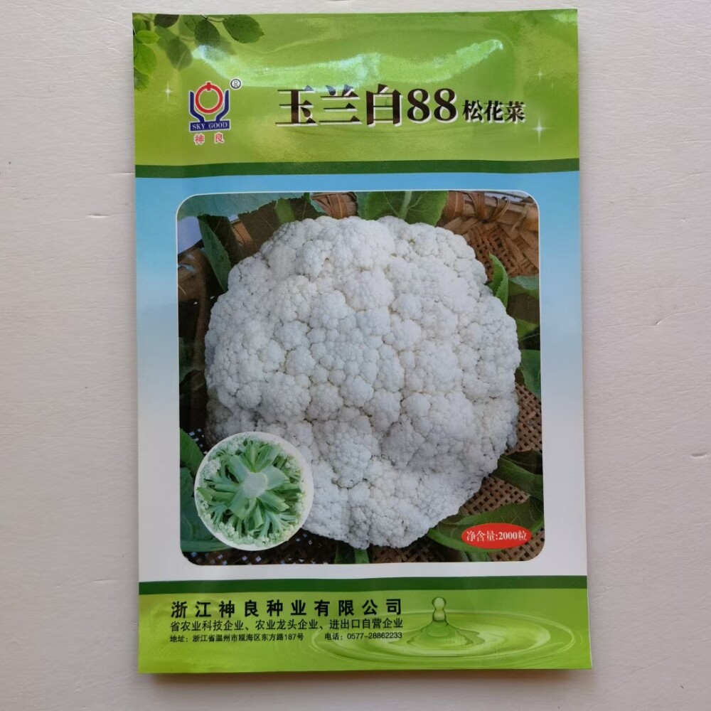 神良玉兰白88白松花菜种子中熟耐