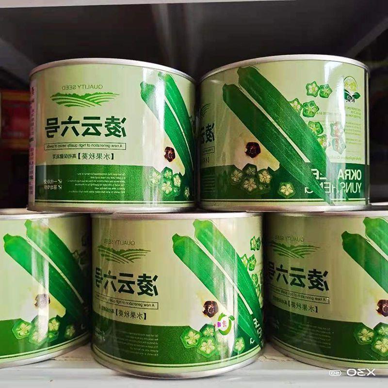 凌云六号水果秋葵种子高