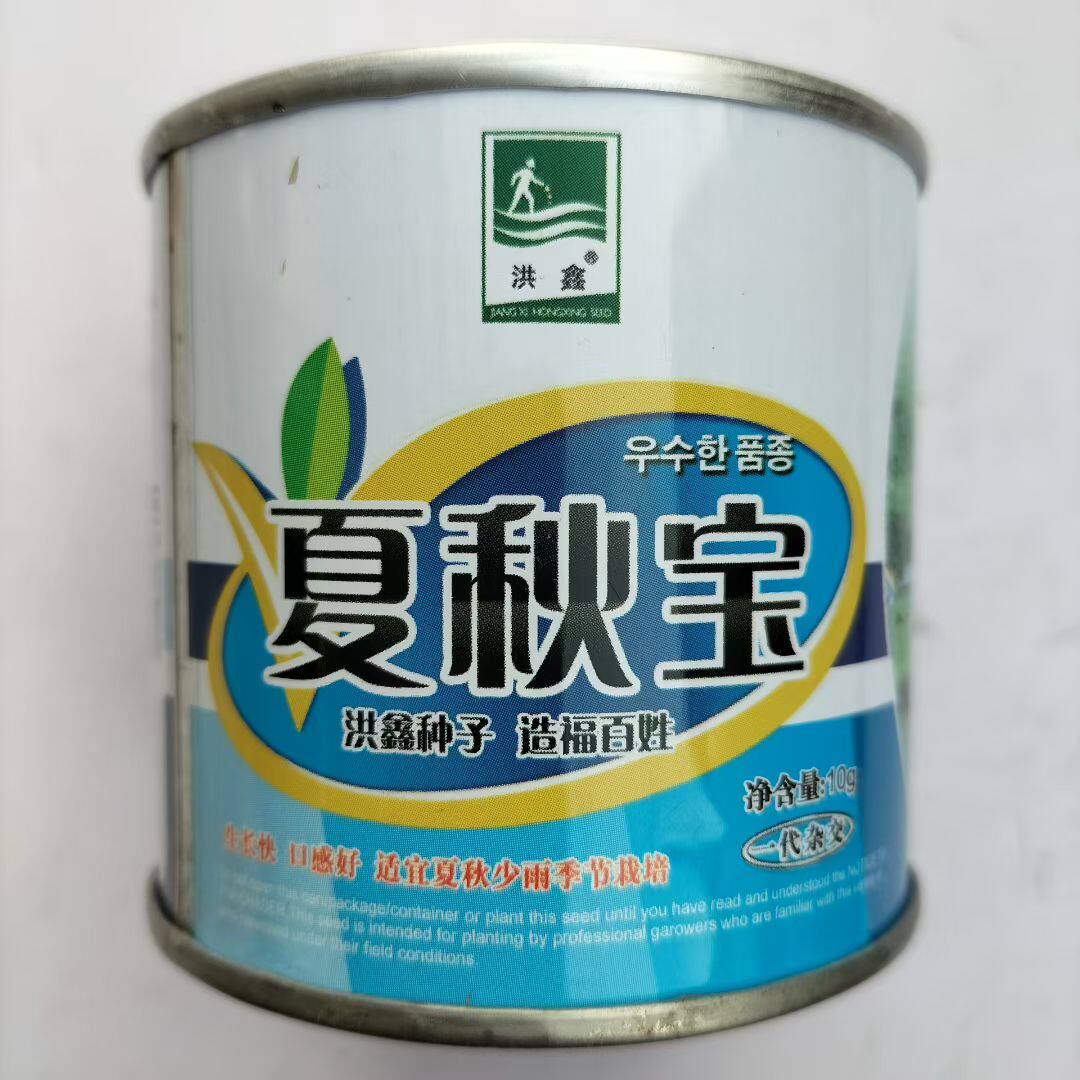 洪鑫夏秋宝早熟杂交白萝卜种子圆筒形板叶叶片短小纤维少耐热高产