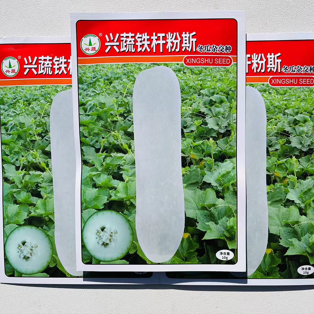 兴蔬铁杆粉斯杂交白皮冬瓜种子肉厚腔小产量耐贮粉皮冬瓜种籽孑