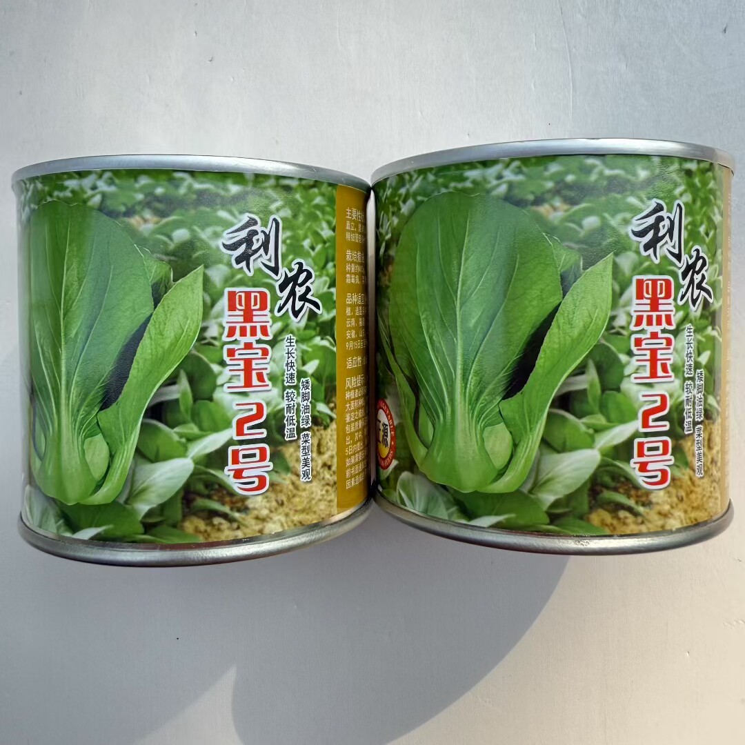 蔬菜瓜果四季青菜种子大全矮株青菜种籽利农黑宝2号青菜籽种高产