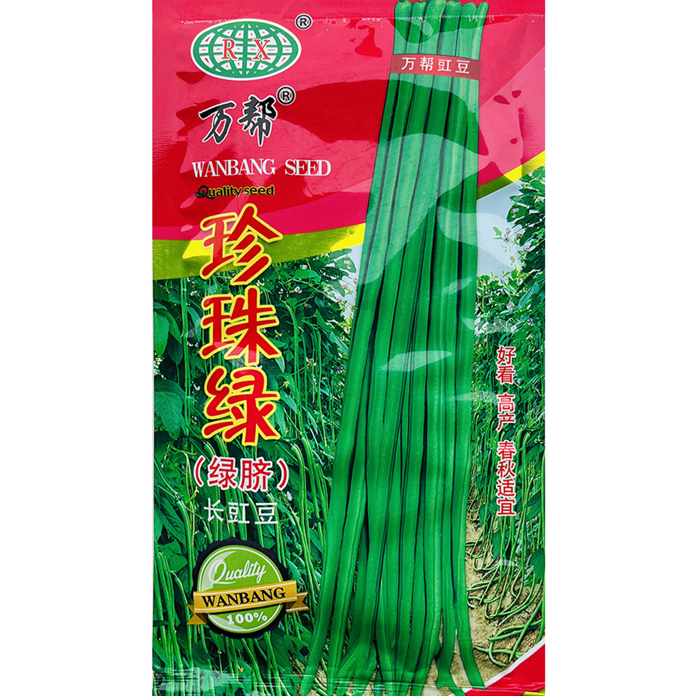 绿珍珠长豇豆种子高产长豇豆青条早熟耐热纤维少抗病春夏蔬菜种子