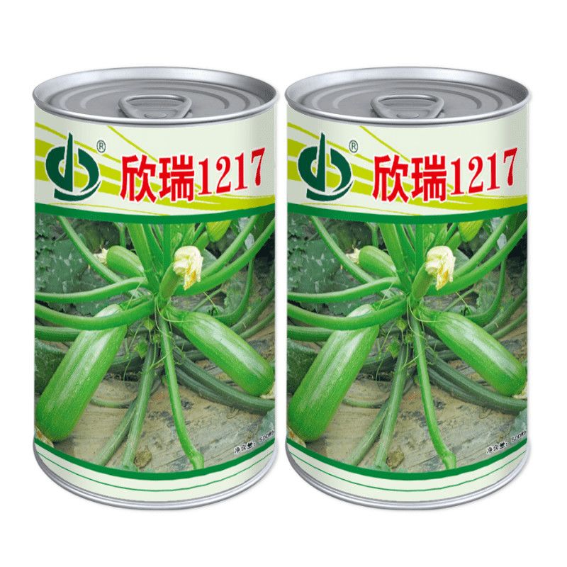 天瑞四季1217西葫芦种子籽翠绿高产抗病耐热庭院西葫芦籽绿色种籽