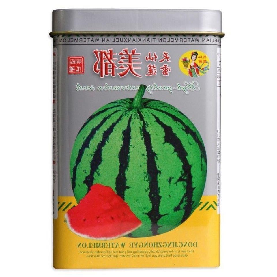 耐裂天山美都西瓜种子超甜