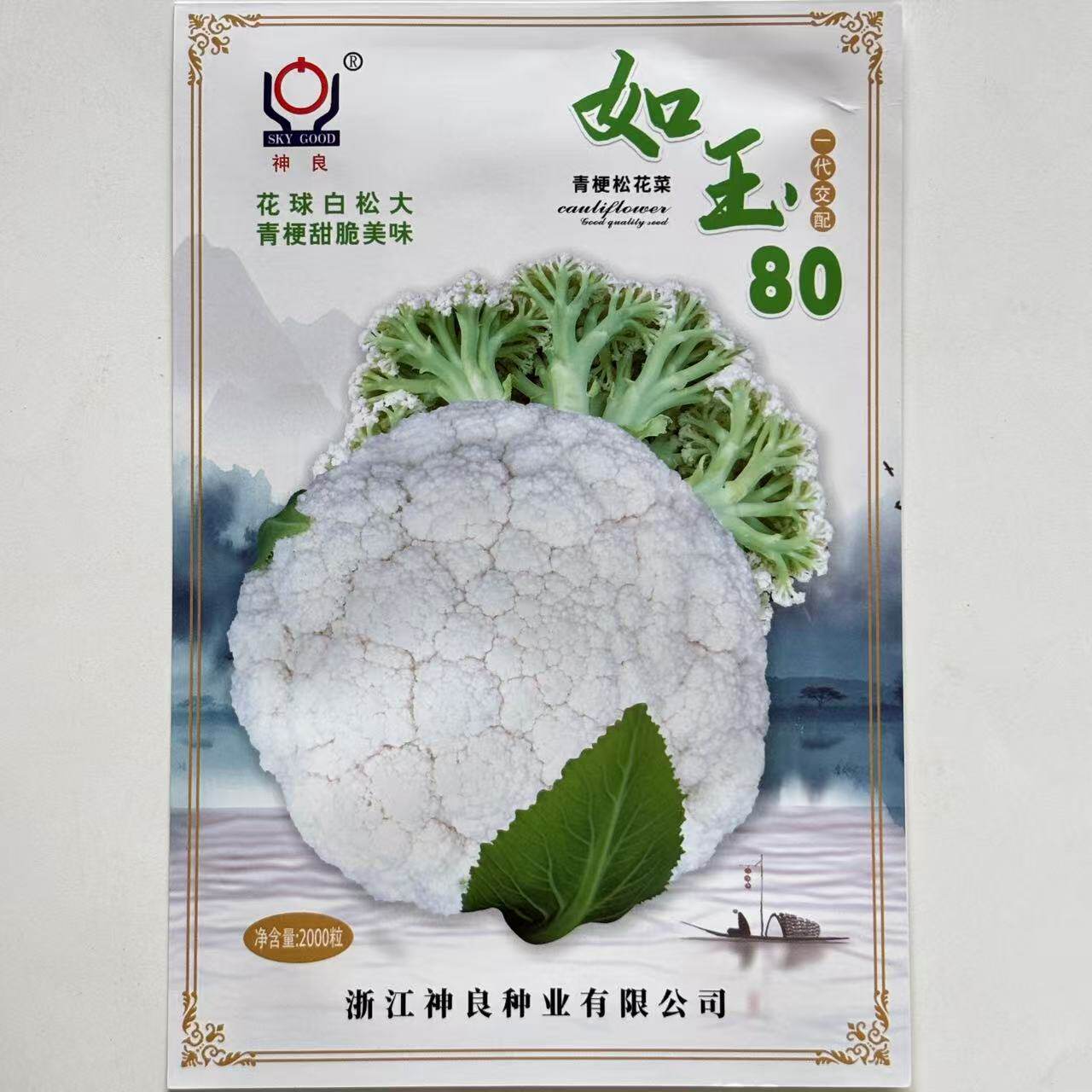 如玉80青梗松花菜种子花球白松大青梗甜脆美味中熟耐寒抗病春秋播