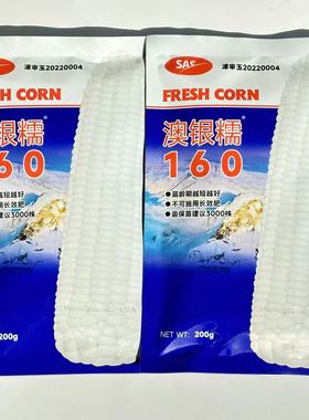 澳银糯160鲜食糯白玉米种子籽粒白色穗轴白色早熟甜糯白玉米种子