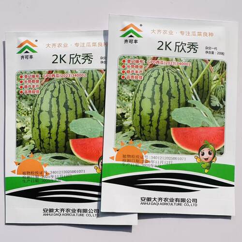 2K新秀西瓜种子礼品小西瓜籽薄皮红瓤椭圆形水果西瓜种籽早熟高产
