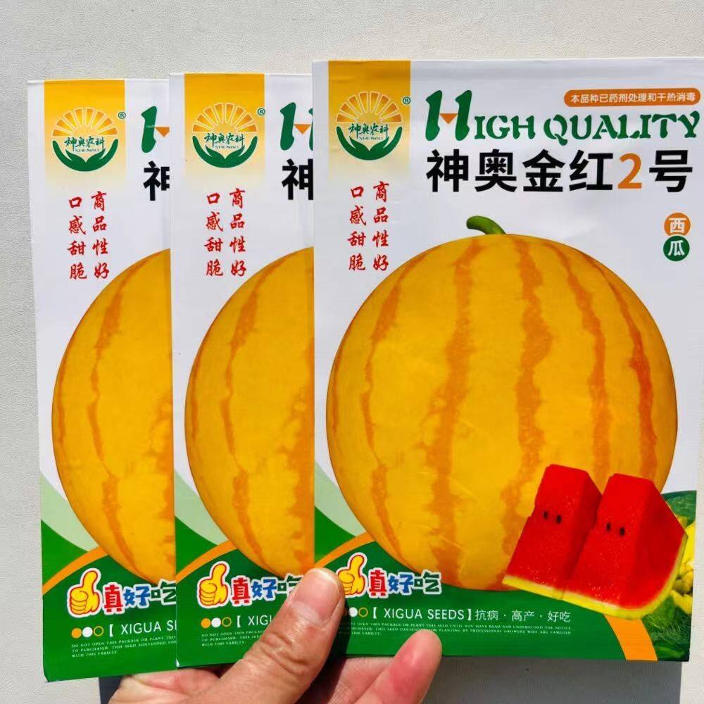 神奥金红2号礼品西瓜种子早熟杂交圆形糖度高黄皮红肉西瓜种子