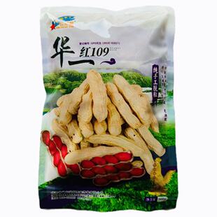 华一红109四粒红花生种子抗旱抗涝红皮花生种子高产早熟花生种子