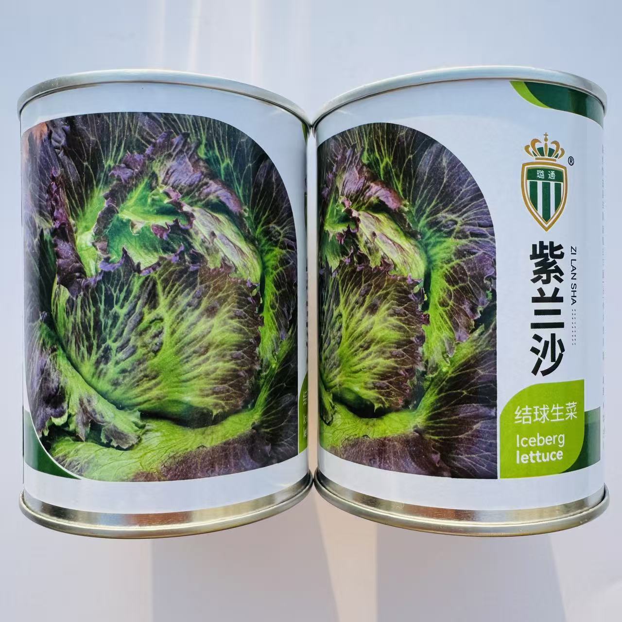 紫兰沙紫叶结球生菜种子 紫绿脆嫩高花青素 秋冬沙拉生食蔬菜种籽