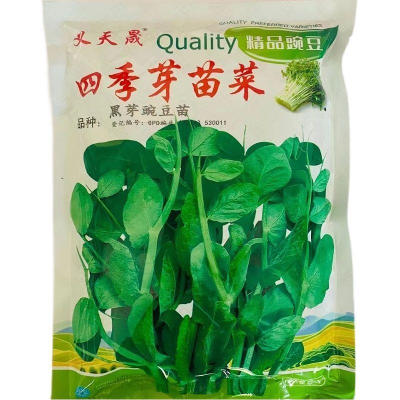 义天晟四季芽苗菜种子黑芽豌豆苗种籽豆芽菜豌豆种子新鲜蔬菜种子