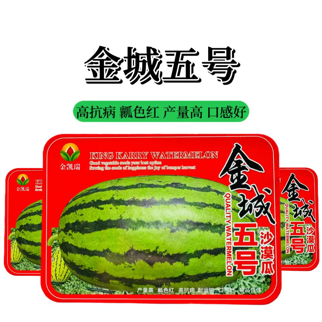 金凯瑞金城五号沙漠西瓜种子特大懒汉瓜高糖大果小籽抗病水果种籽