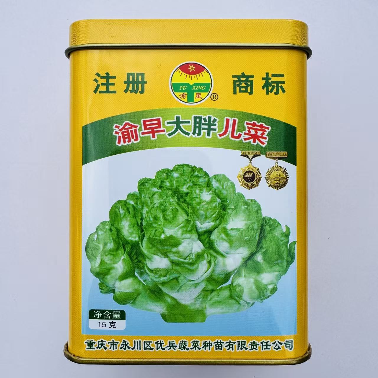 渝早大胖儿菜种子早熟儿菜耐寒儿大均匀口感脆嫩味清香微甜秋季播