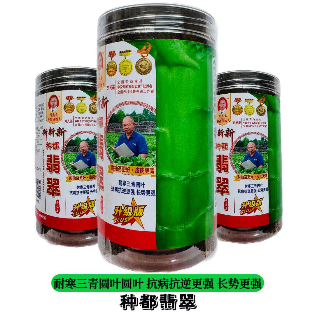 翡翠升级版 500g/罐耐寒三青圆叶莴苣籽更绿更耐抽苔抗病莴笋种子