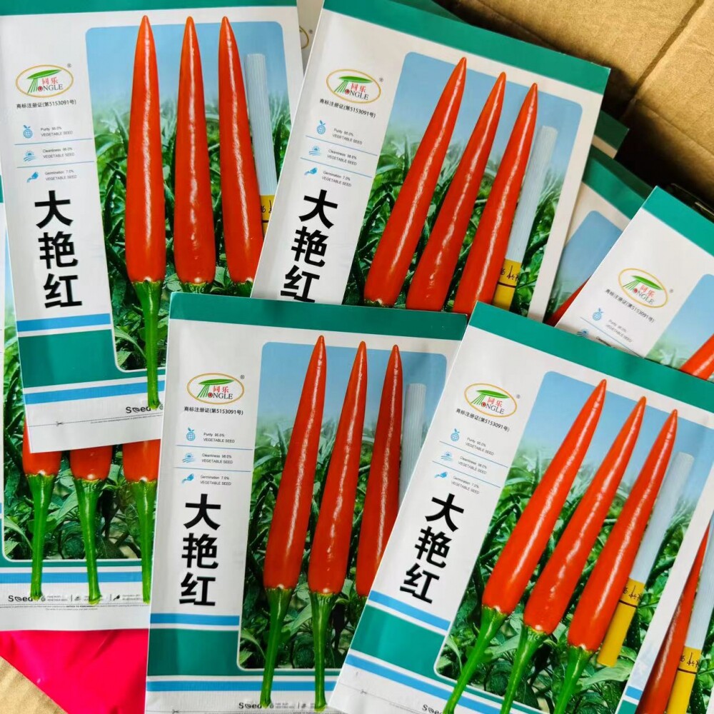 大艳红单生朝天椒辣椒种子早熟大果钝尖高产抗病把长高辣大田种孑