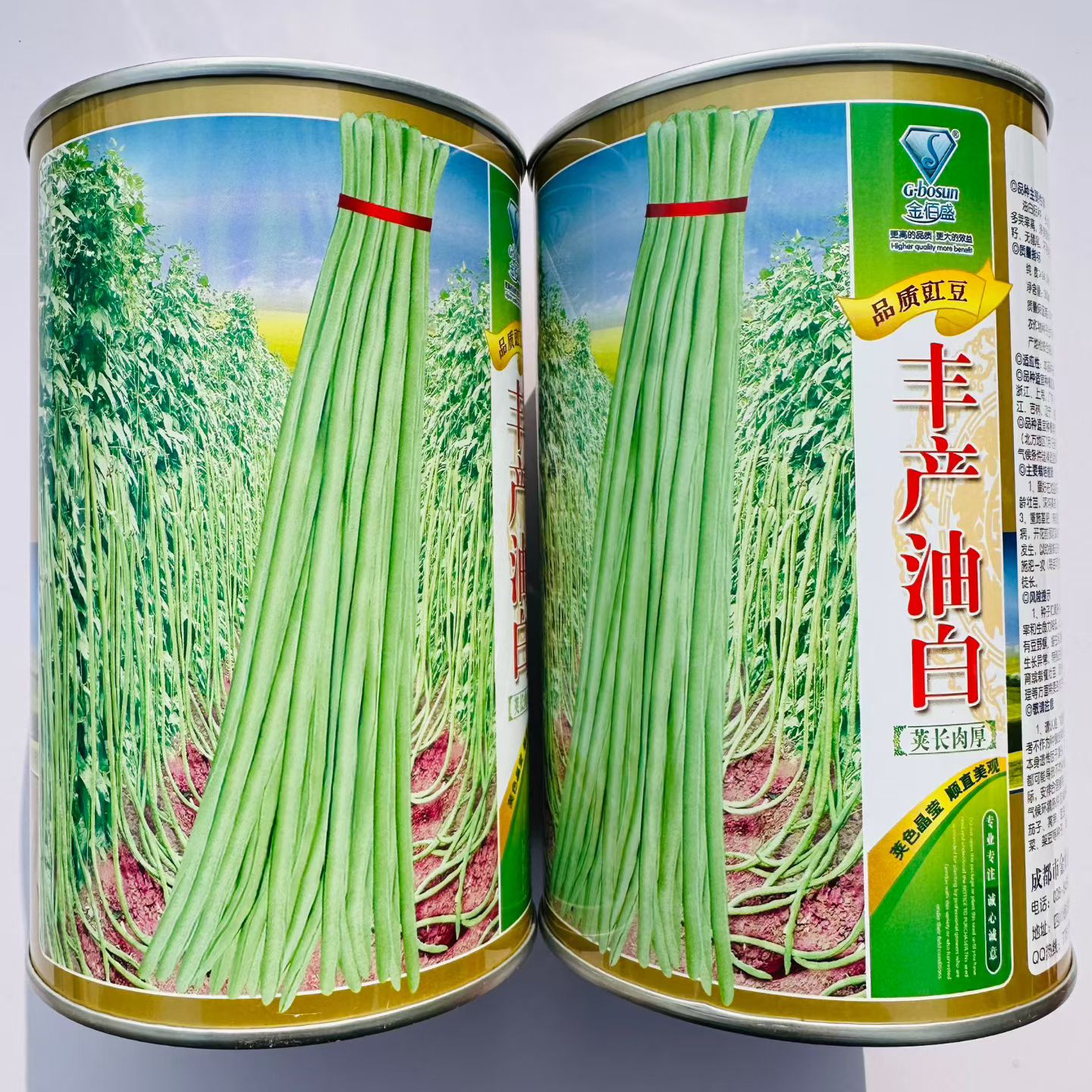丰产油白厚肉翠绿条豇豆种子高产长豆角种子特长豇豆耐热春秋豆角
