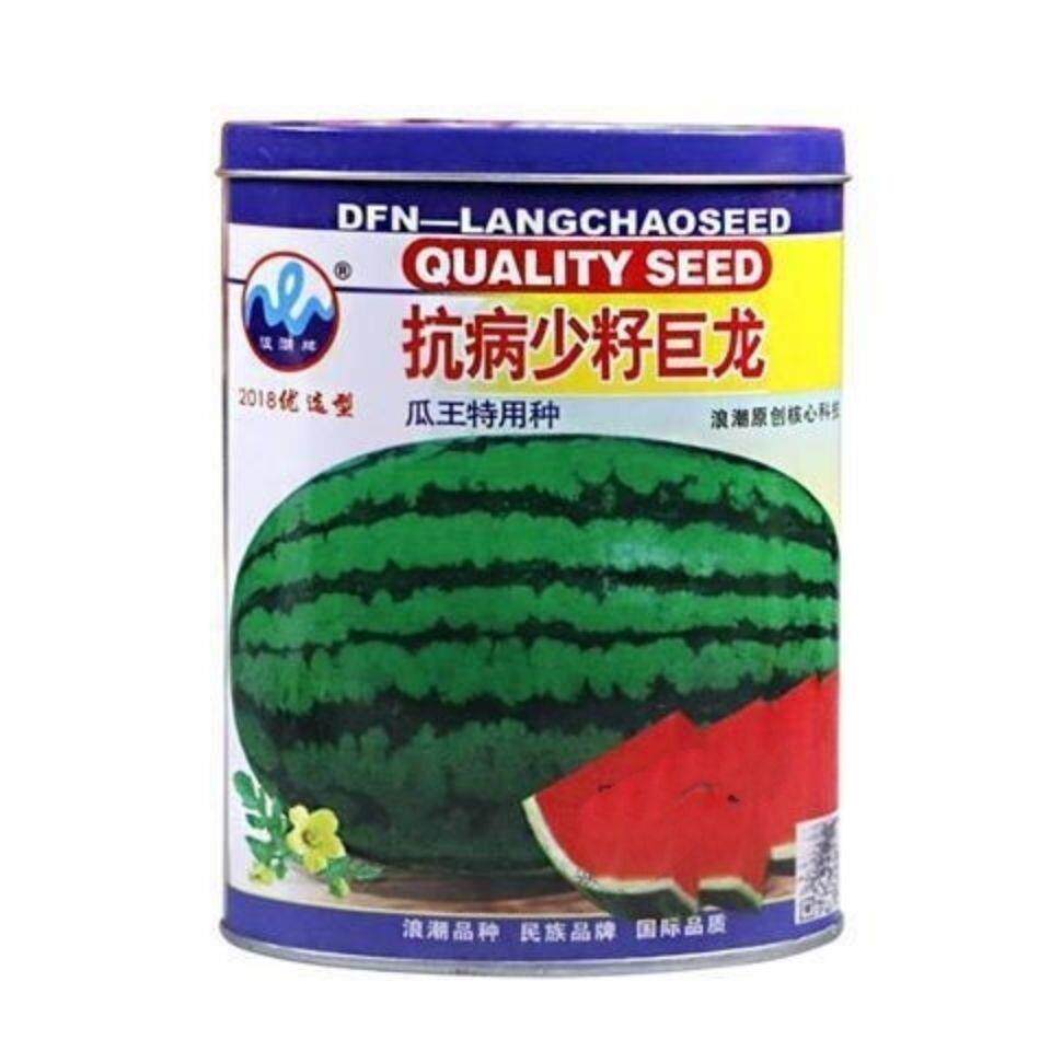 罐装正品超甜高产抗病西瓜种子少籽巨龙 蔬菜种子可达70公斤易种