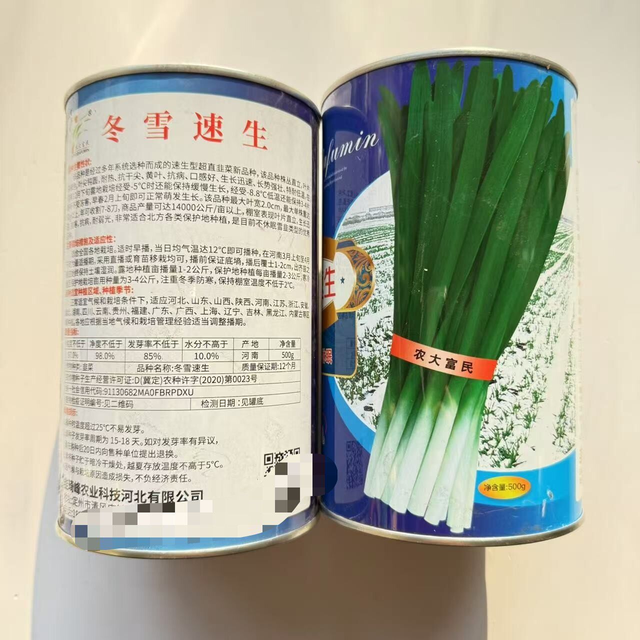 冬雪速生韭菜种子特耐低温冬季不休眠宽叶韭菜种籽春秋播蔬菜种子