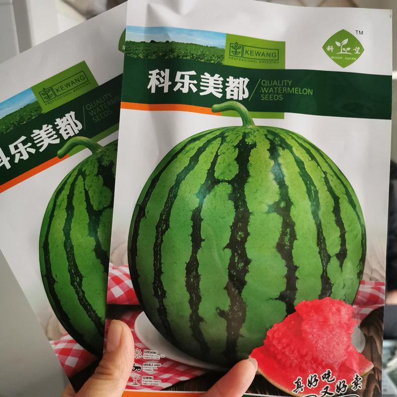 美都西瓜种子早熟高产超甜西瓜种