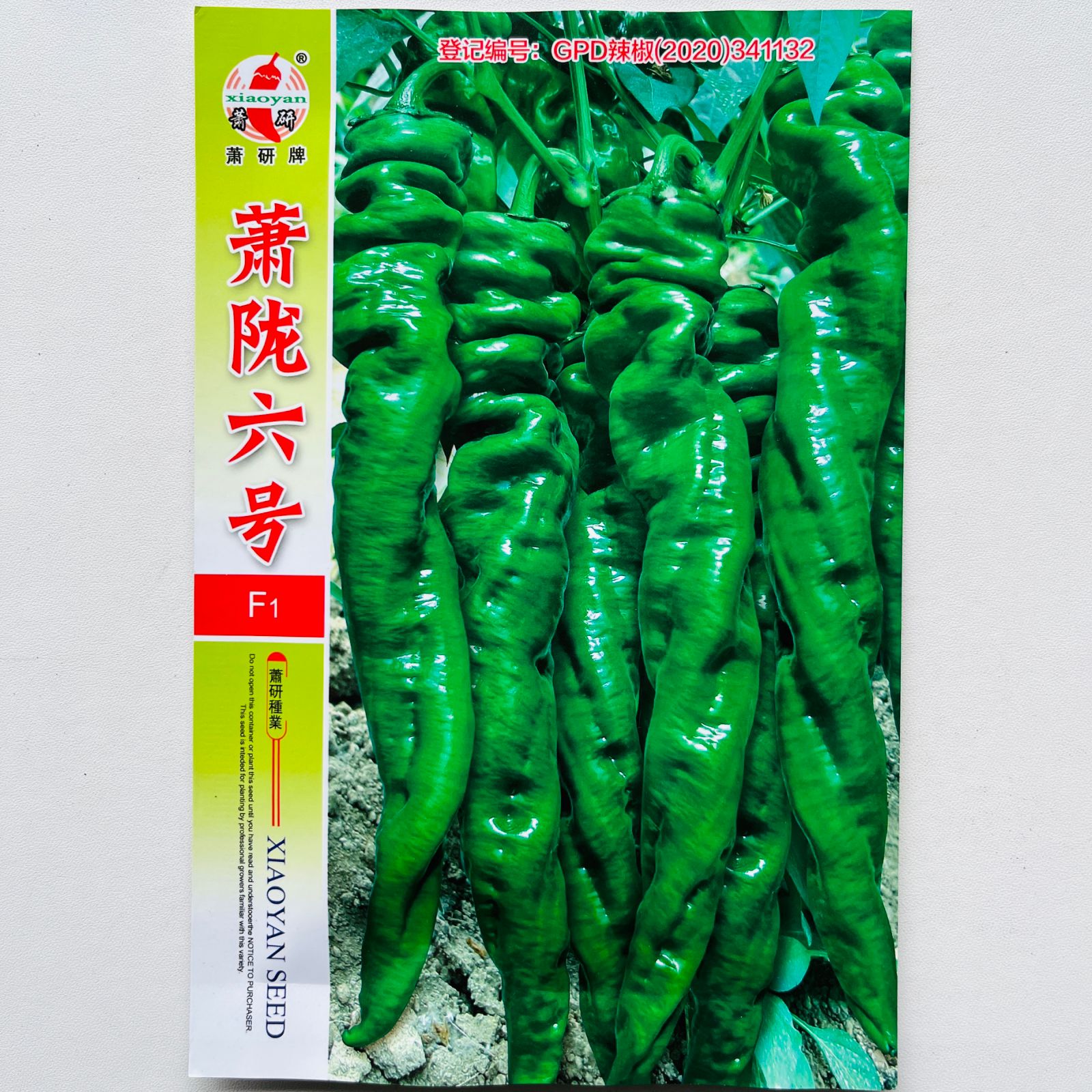 萧研萧陇六号辣椒种子早熟高产抗病蔬菜种农家菜园四季田园精选种