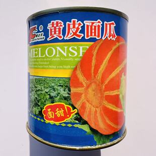 老品种黄皮面瓜种子甜面高糖甜瓜种籽耐热花皮面瓜春夏季种植蔬果