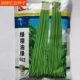 油绿602豇豆种子油青色长豆角种子条长顺直高产蔬菜基地专用品种