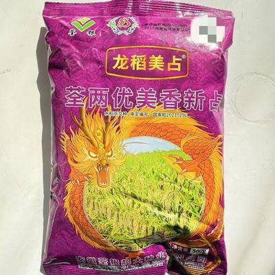 龙稻美占水稻种子荃两优美香新占稻谷种优质长粒香米高产抗病抗倒