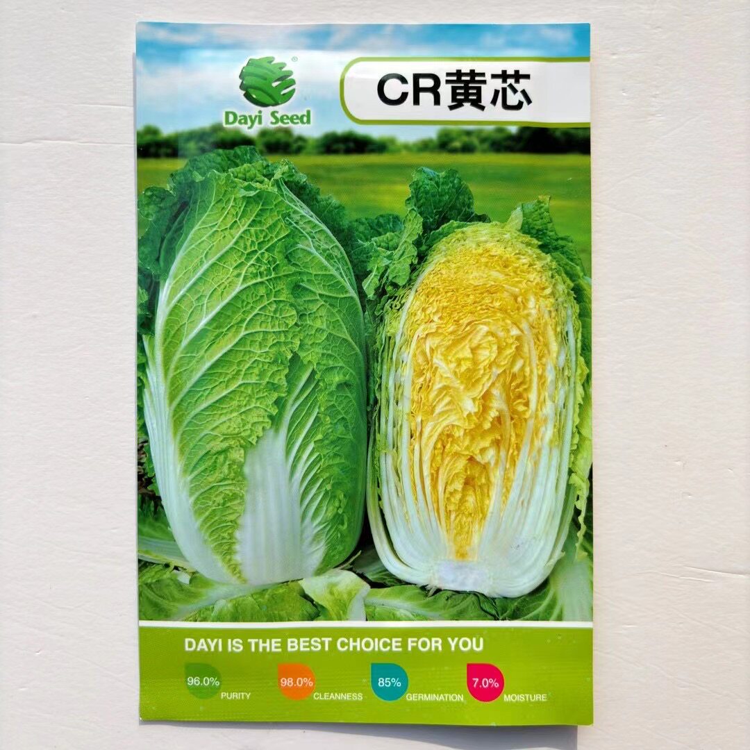 春夏播大白菜种子耐热耐寒大白菜种韩国引进春季种CR黄芯大白菜种