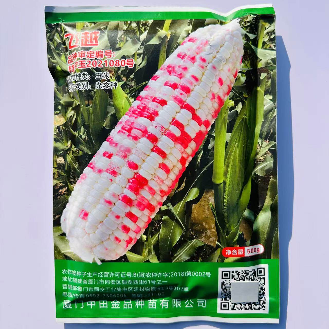 中田金品飞越彩甜糯玉米种子大棒甜糯鲜食彩玉米种子香甜软糯玉米