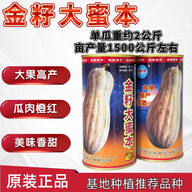 金籽大蜜本南瓜种子早熟大果蜜本南瓜种籽肉色橙红味甜抗病高产