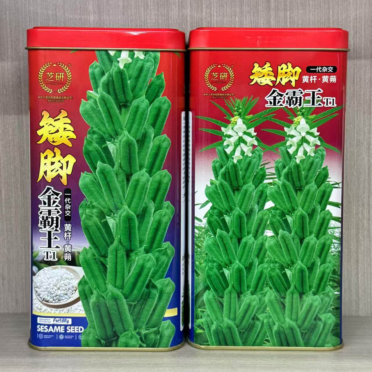芝研矮脚金霸王白芝麻种子一代杂交中早熟黄杆黄蒴芝麻种子春夏播