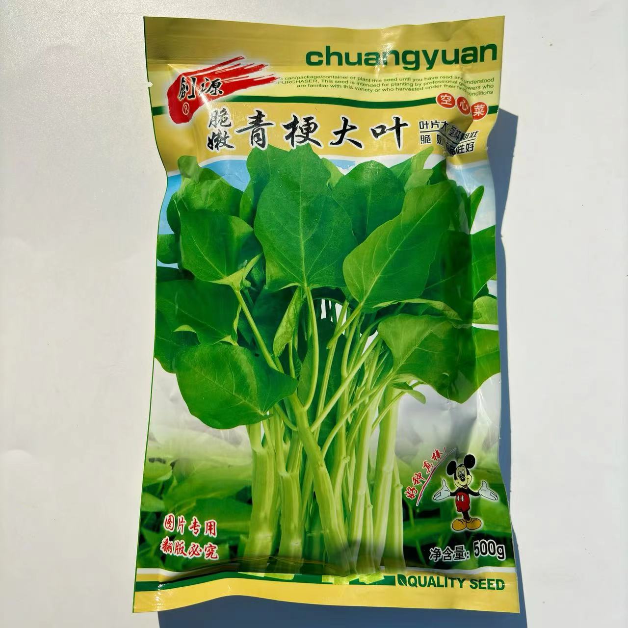 脆嫩青梗大叶空心菜种子圆叶空心菜柳叶大棚阳台盆栽四季蔬菜种籽