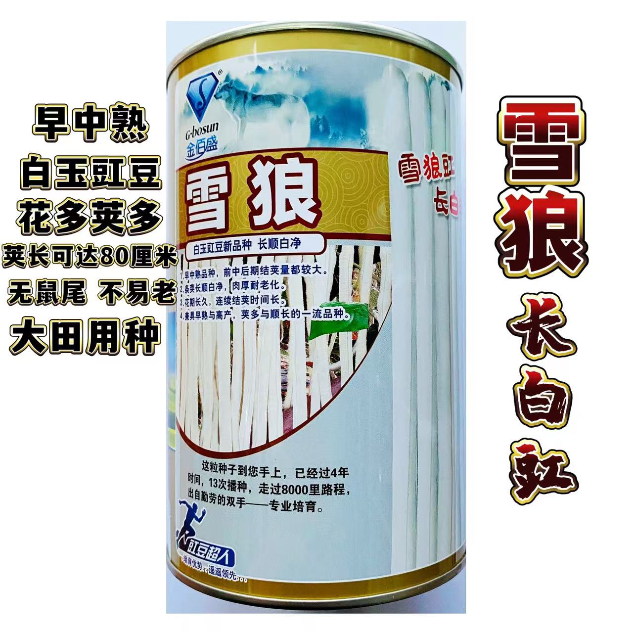 高产特长白豆角种子早熟爬藤白玉豇豆种籽春秋基地大棚露天均可种