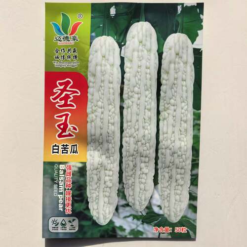 迈德豪圣玉长白苦瓜种子早熟长势旺盛分枝性强雌花多结瓜力强高产