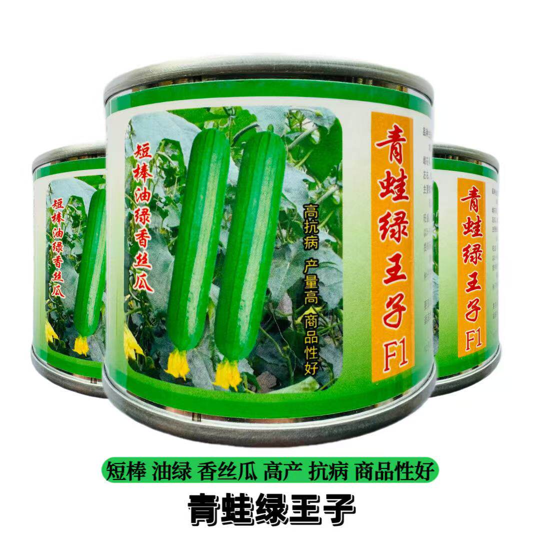 青蛙绿王子短棒油皮丝瓜种籽高产春秋油皮香蕉丝瓜种子大田专用种