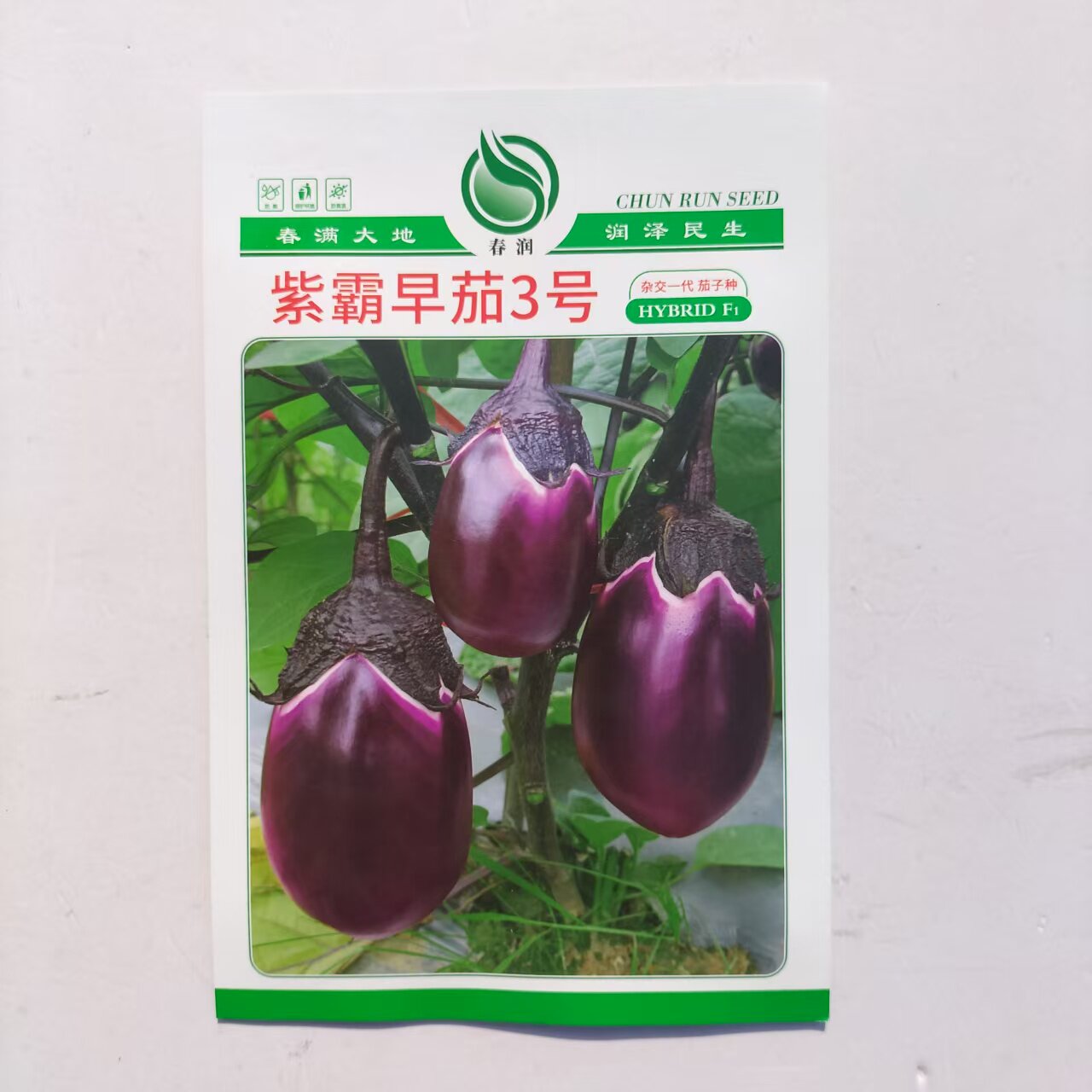 紫霸早茄3号 茄子种子早熟生长势强 紫红色光泽好 果肉白色产量高