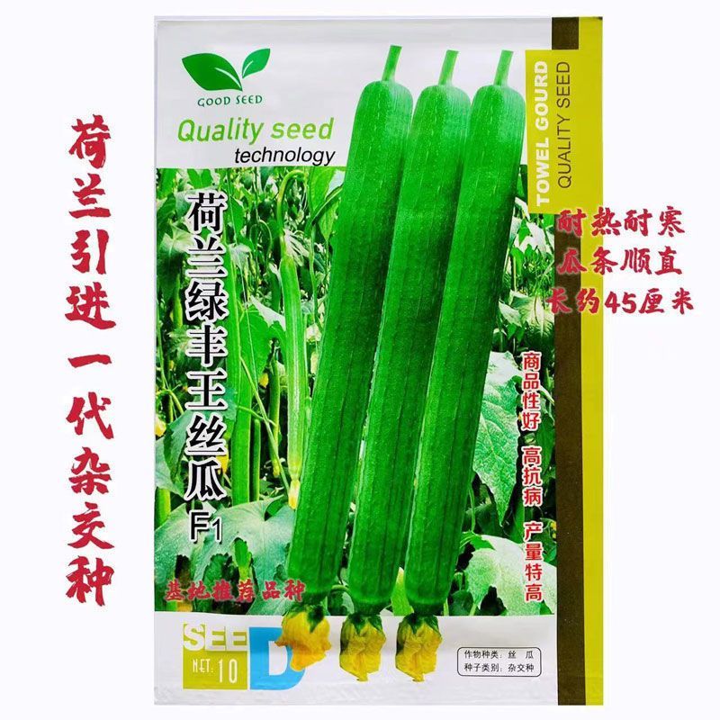荷兰绿丰王绿如意丝瓜种籽高产耐热耐寒早熟带花长香丝瓜种子