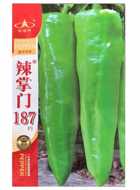 金隆祥辣掌门187一代杂交牛角型辣椒黄皮椒种子阳台专用蔬菜籽种