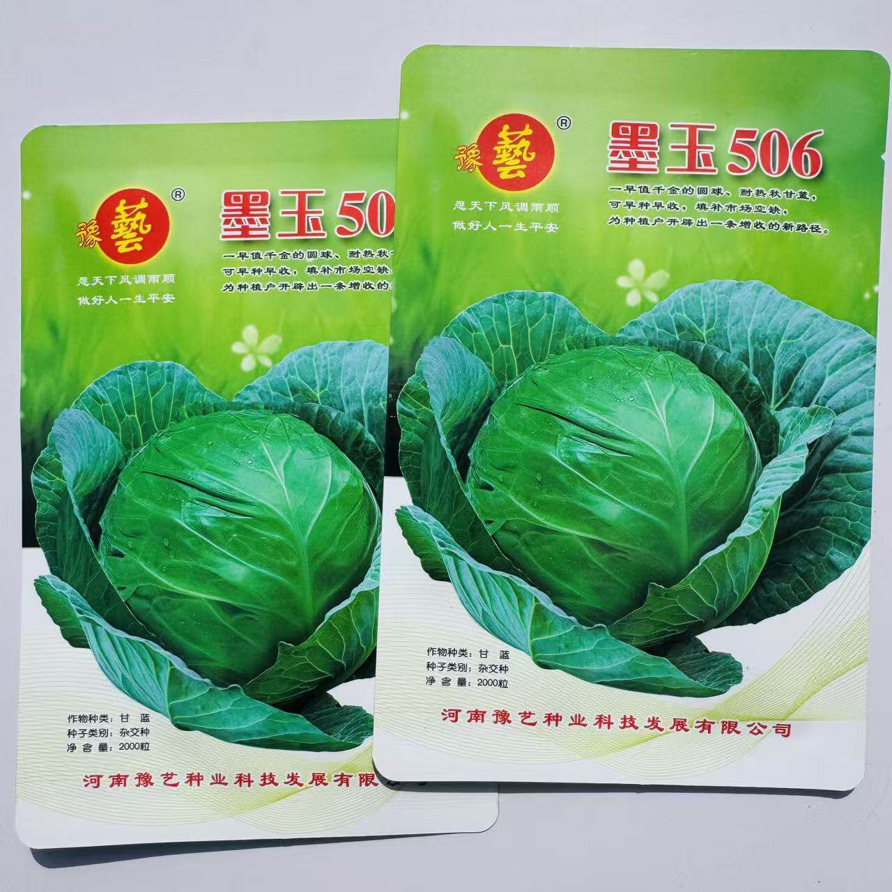 墨玉506甘蓝种子秋甘蓝品种早熟耐热圆甘蓝种子圆球形包菜种子