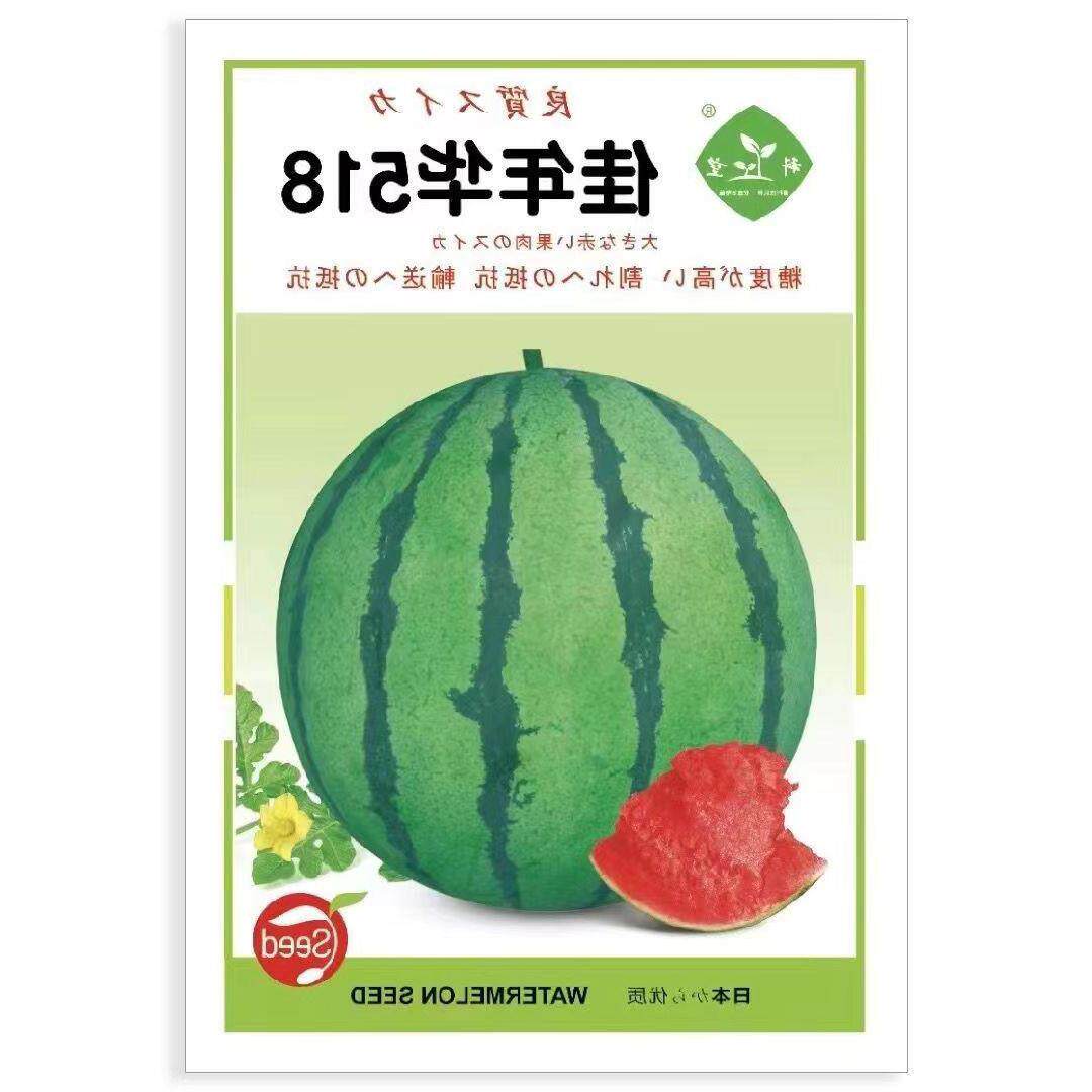 佳年华518西瓜种子圆球形