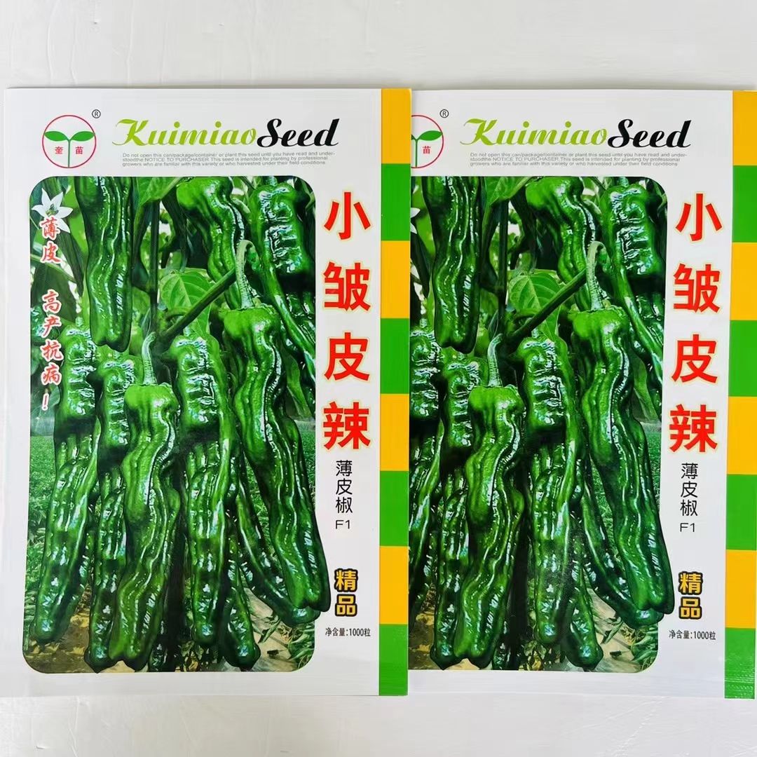 奎苗小皱皮辣薄皮辣椒种子早熟皱皱辣深绿色辣味香浓抗病春秋高产