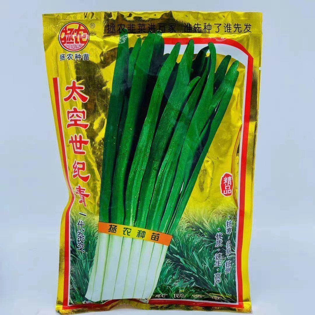 韭菜种子太空世纪青春季生