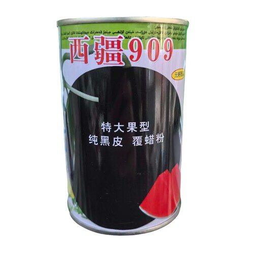 西疆909特大黑皮红瓤无籽西瓜种子中晚熟耐病耐湿抗逆强黑皮无籽