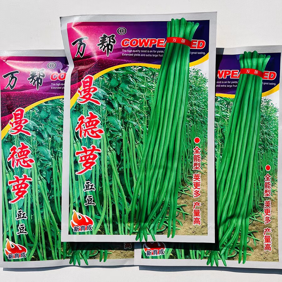 万邦曼德萝豇豆种子嫩绿光滑荚多高产抗病长豆角种籽农家春秋播孑
