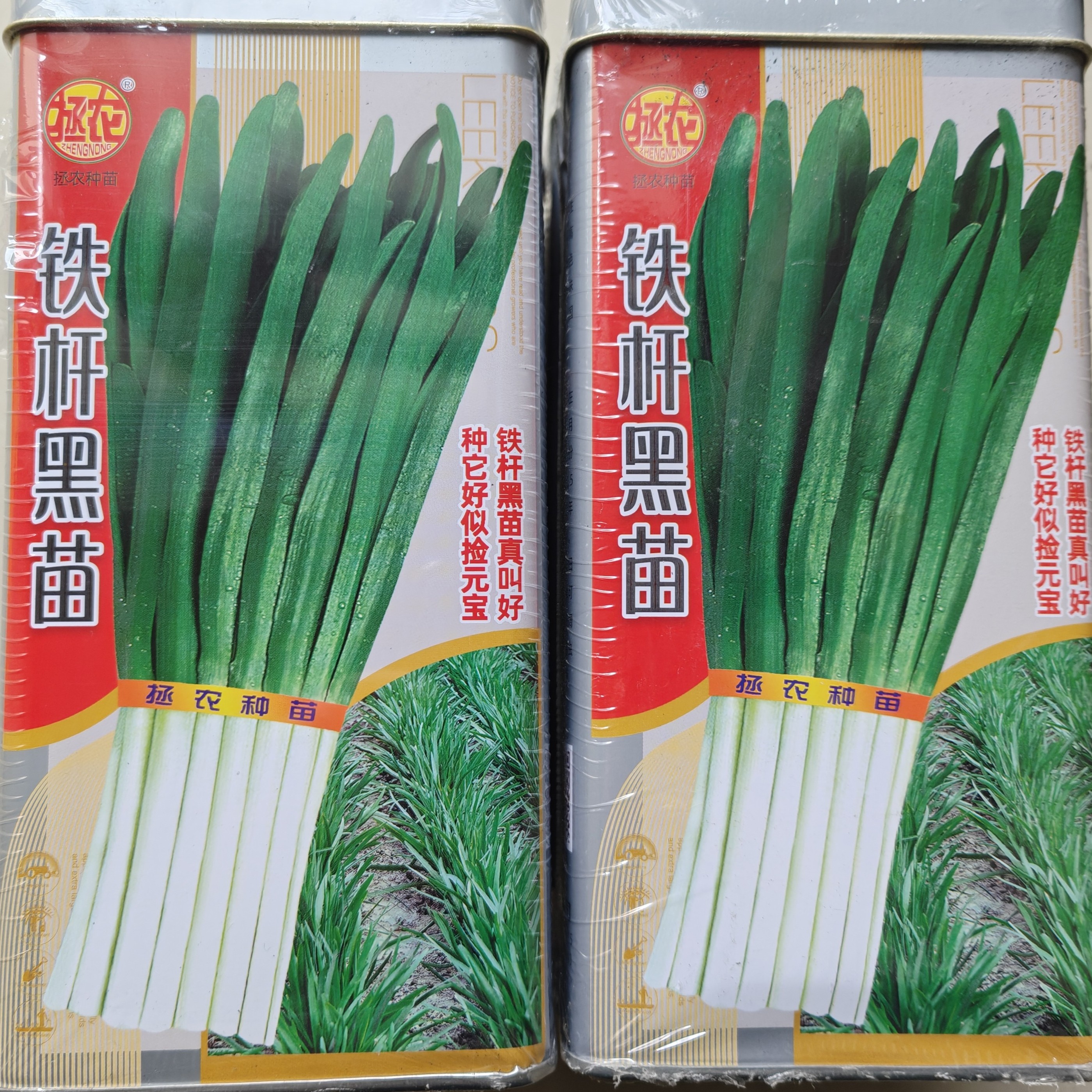 铁杆黑苗韭菜种籽子孑高产抗寒病白根叶片浓绿宽大肥厚全年7-8刀